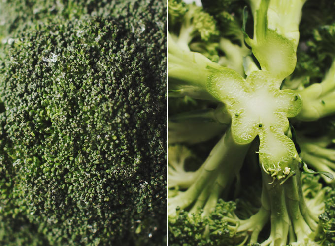 broccolisoup3
