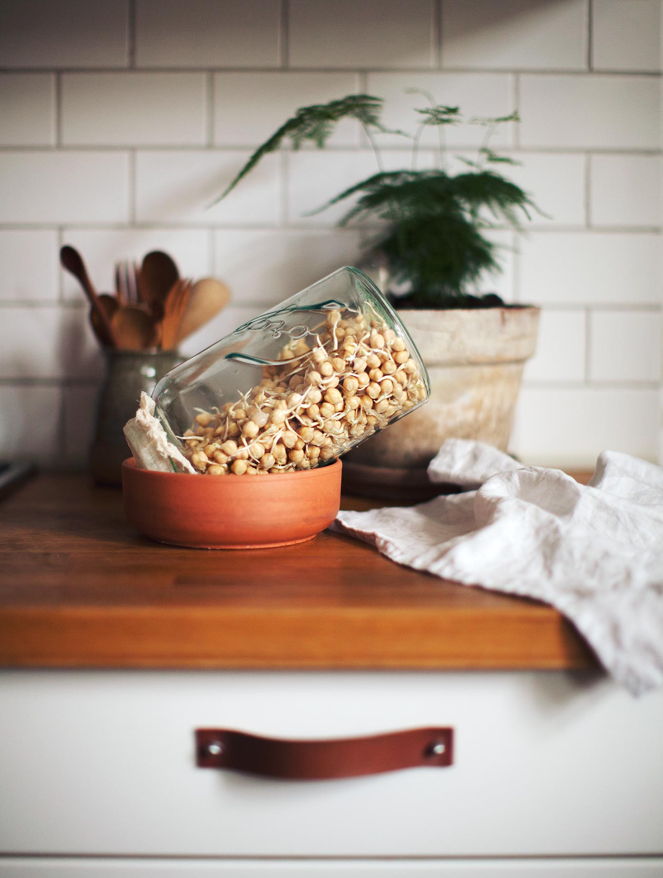 sprouted_hummus