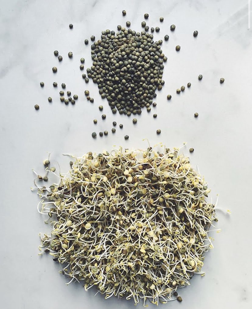 Simple Sprouting