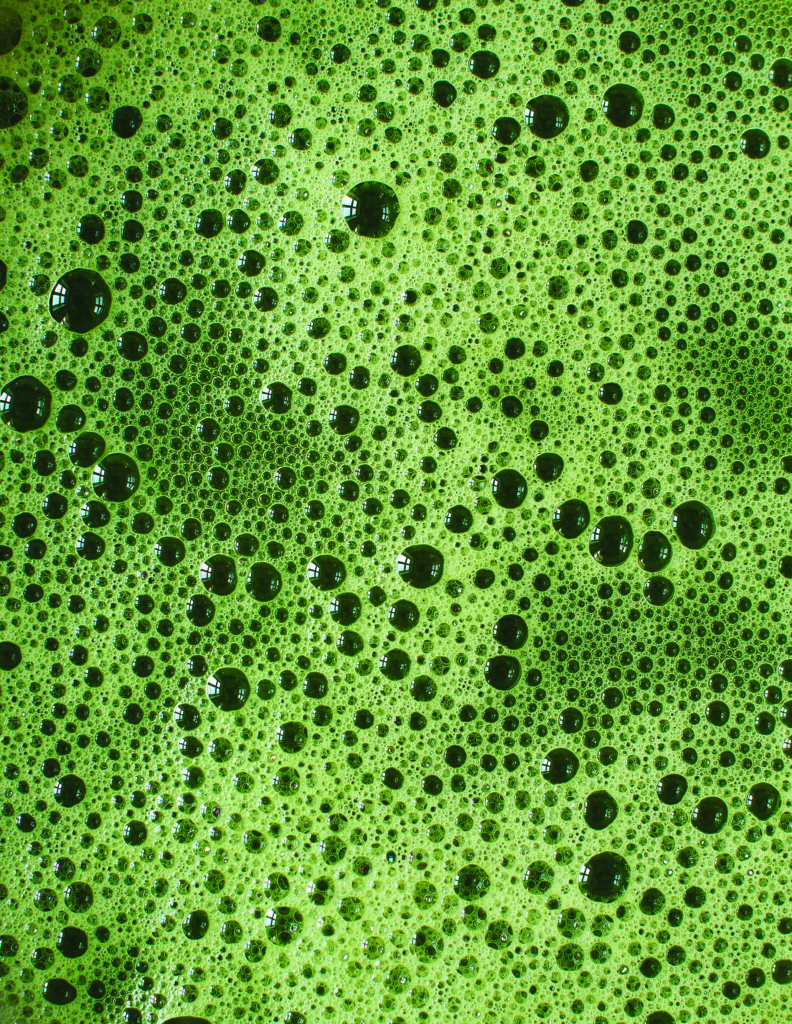 Mesmerizing Matcha