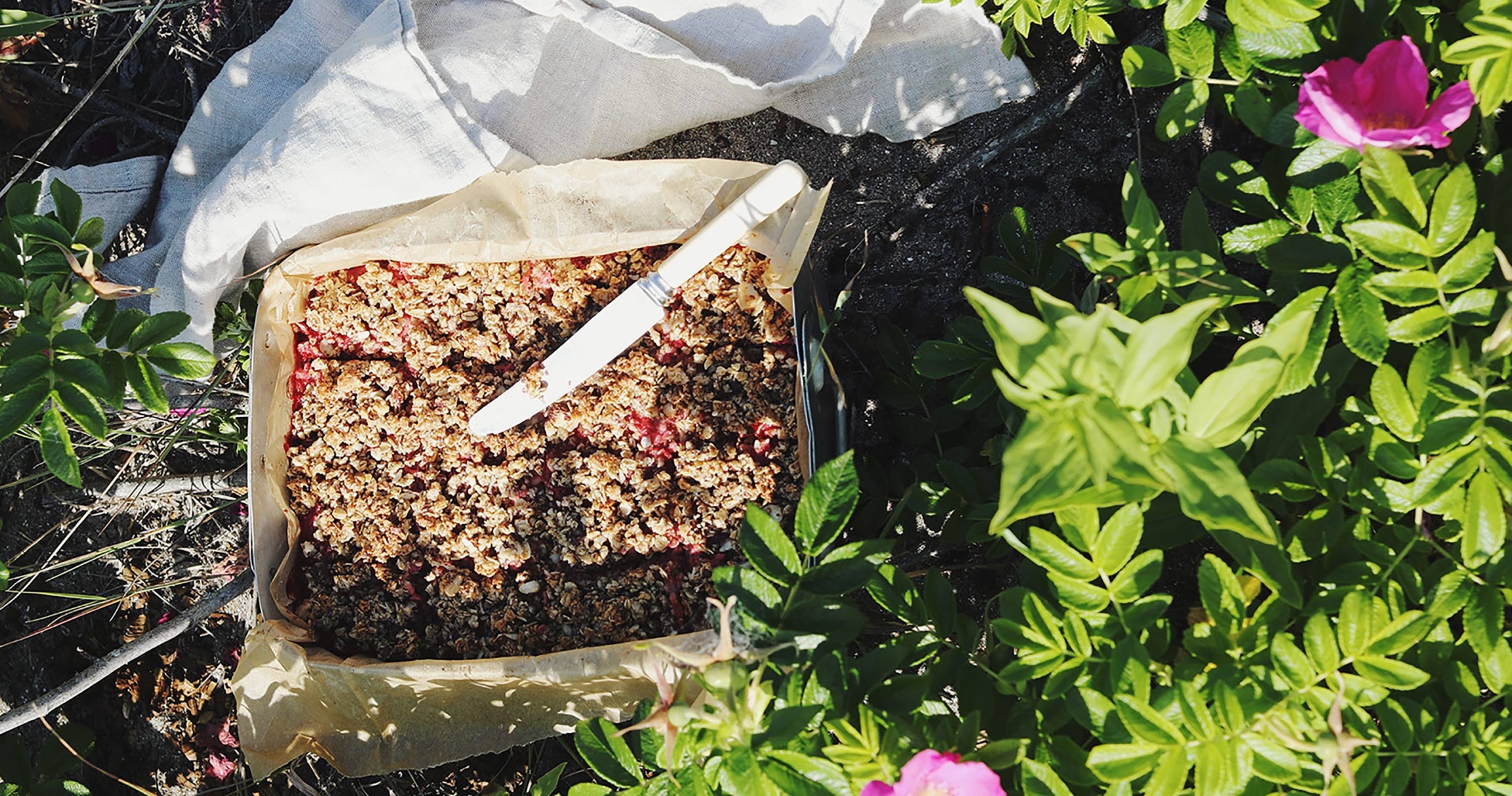 Strawberry Rhubarb Rose Crumble Bars